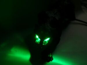 simba_making_off_07 simba_making_off_07