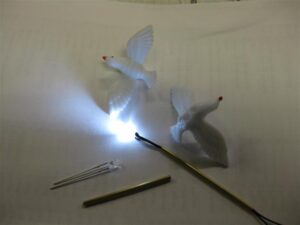 ToM_Dove_01 ToM_Dove_01