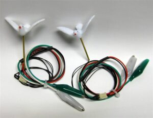 ToM_Dove_05 ToM_Dove_05