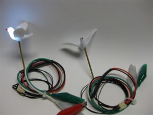 ToM_Dove_06 ToM_Dove_06